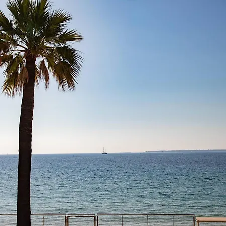 Large On The Seafront Αντίμπ