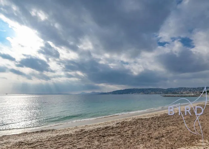 Large On The Seafront Lägenhet