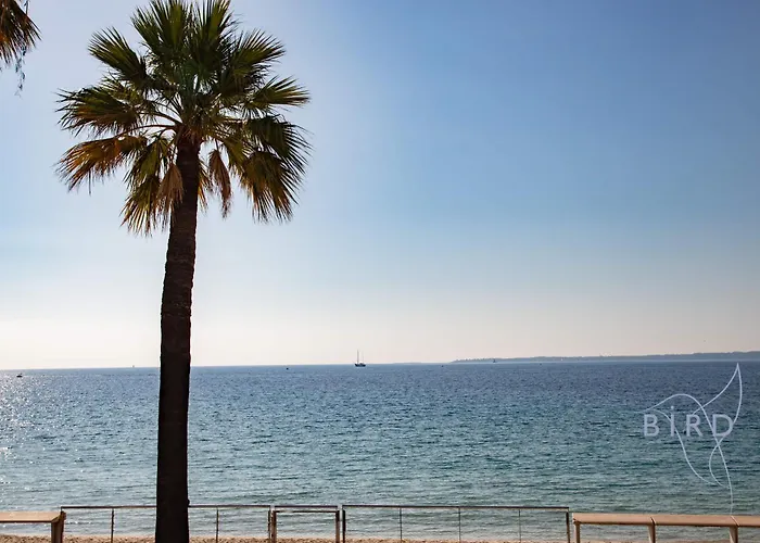 Large On The Seafront *