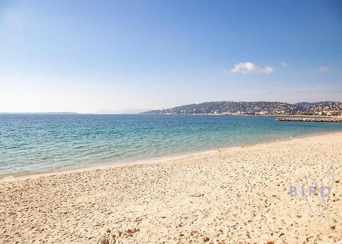 Large On The Seafront *