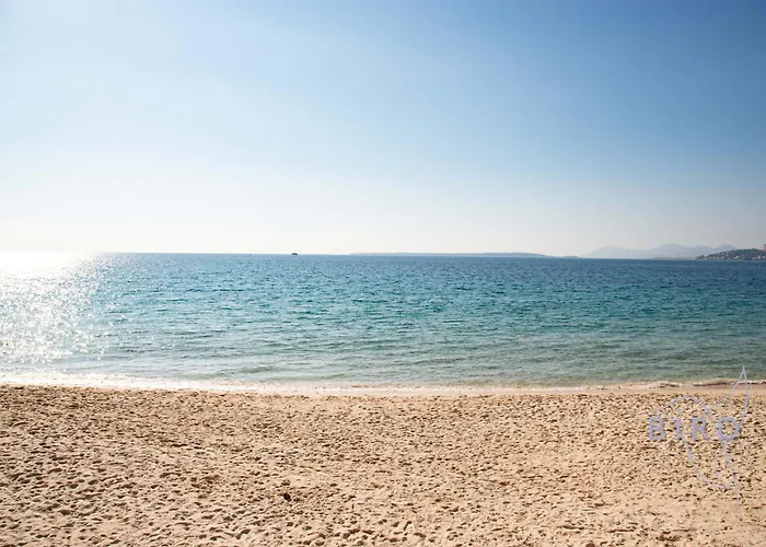 Large On The Seafront